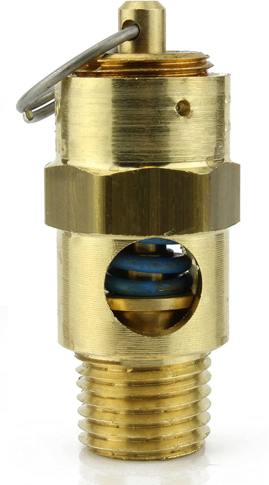 1/4" male NPT 200 PSI Safety relief valve Puma 84006010