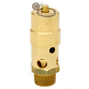 1" ASME Soft Seat Safety Valve 300 psi 2385 SCFM, SW10-300
