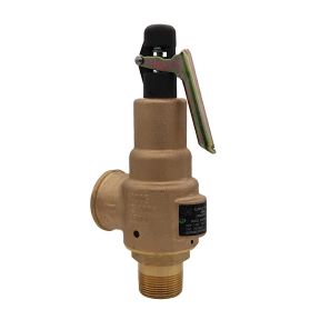 1" x 1-1/4" ASME Hard Seat Safety Valve 300 psi 1864 SCFM, 6010FE-300