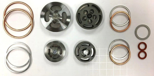 Champion Z102 Champion valve set w/ gaskets