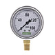 Gauge 0 - 160 psi, 2.5" face SS case, Liquid filled, 1/4" lower mount