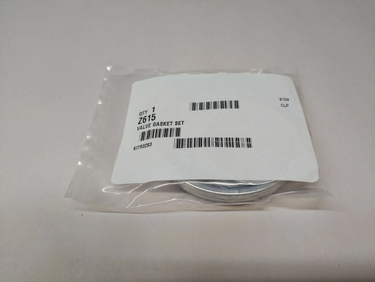 Z615 Champion vale gasket set R70A pump
